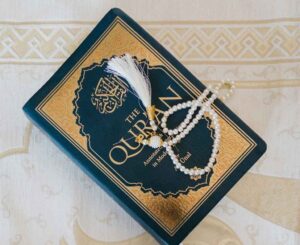 Key features of sekho Quran Hifz program online
